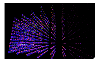 EXPERT NETWORK